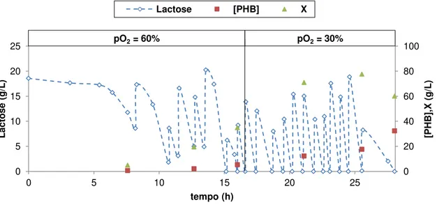 Figura 4-1  –  Estratégia 1: Concentração de Lactose, PHB e biomassa activa experimental ao longo do tempo 