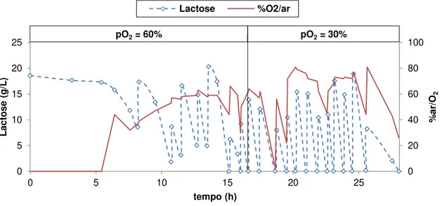 Figura 4-4  – Estratégia 1: Concentração de lactose e a variação da percentagem de oxigénio puro adicionado ao  caudal de arejamento online (%O 2 /ar) 