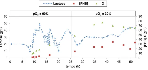 Figura 4-6  –  Estratégia 2: Concentração de Lactose, PHB e biomassa activa ao longo do tempo 