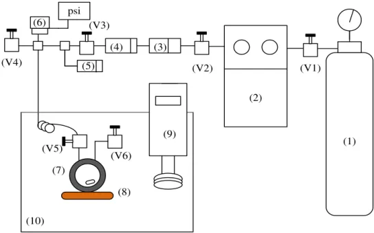 Figure 2.2 – Schematic representation of the experimental apparatus used in the polymerizations