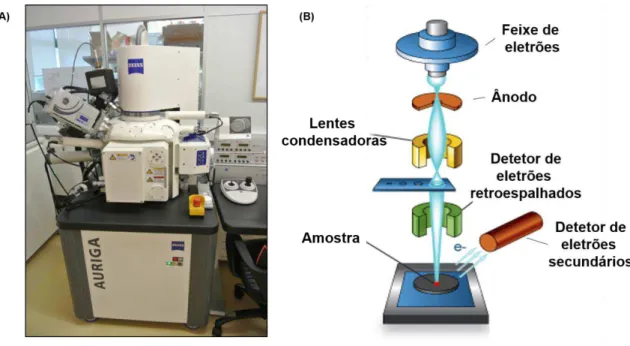 Figura 4.3 (A) Equipamento utilizado na Microscopia eletrónica de varrimento; (B) Representação esquemática de  um equipamento de SEM