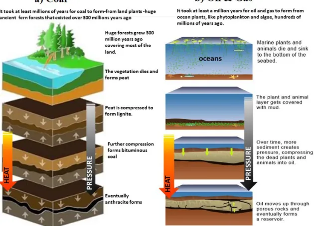 Figure I.4: Formation of fossil fuels: a) formation of coal and b) formation of oil and gas [23]