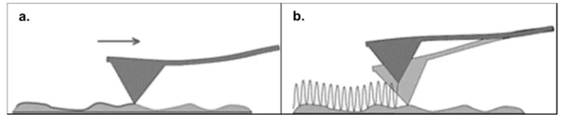 Figure 1.7 – Representation of the most currently used AFM imaging modes. a. Contact mode and b
