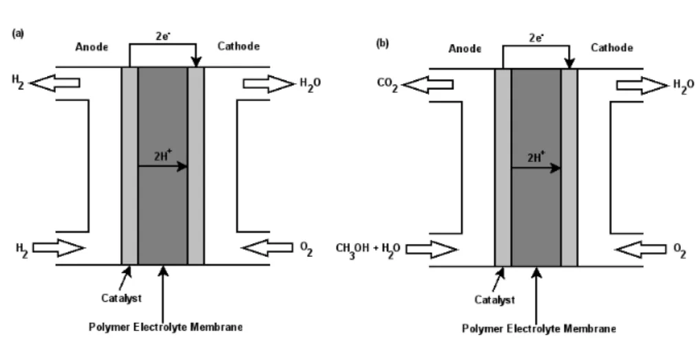 Figure 1.1: Schematic representation of a (a) Hydrogen fuel cell and (b) Direct meth- meth-anol fuel cell.