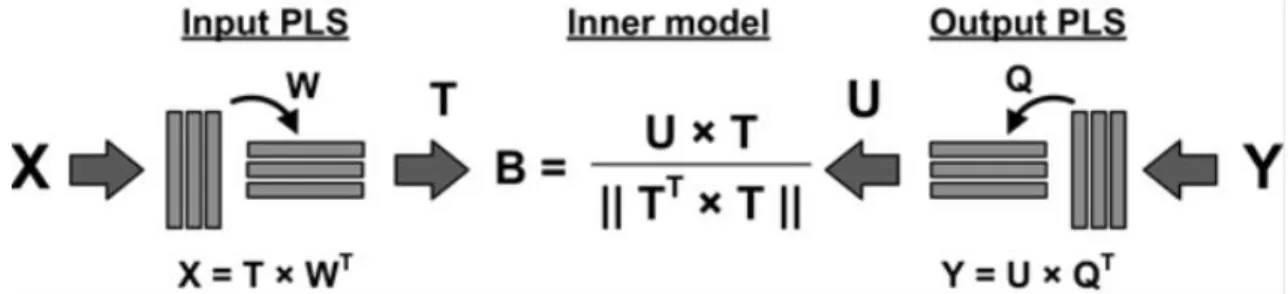 Figure 3. Schematic representation of PLS model. Left side represents the independent  variables or inputs and the right side represents the dependent variables or outputs