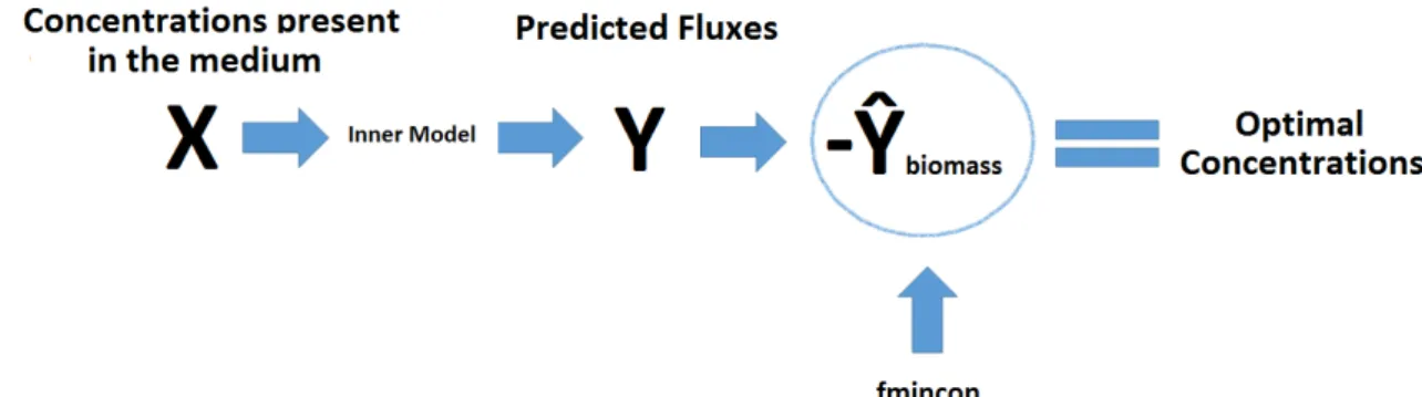 Figure 4. After the selection of the inputs through  the PLS model, new predictions were  made