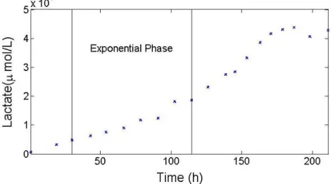Figure 6. Concentration profile of Lactate excretion over time for Cultivation 1. Solid lines  represent the time range defined