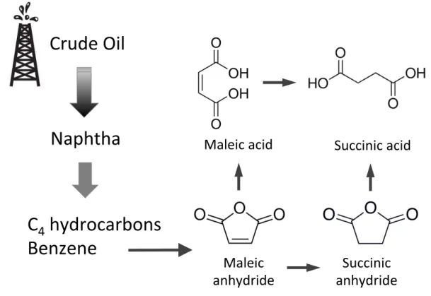 Figure 1.3: Production of succinic acid by chemical conversion of petro-derived compounds aiming at the development and implementation of processes and/or products that reduce or  elimi-nate hazardous substances (Table 1.2).