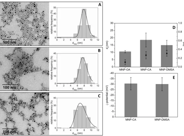 Figure  2.1.  Morphology,  size  and  zeta  potential  of  the  hydrophobic  and  hydrophilic  nanoparticles