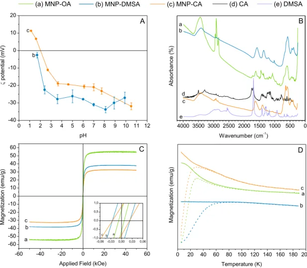Figure  2.2.  Surface  and  magnetic  properties  of  the  hydrophobic  and  hydrophilic  nanoparticles