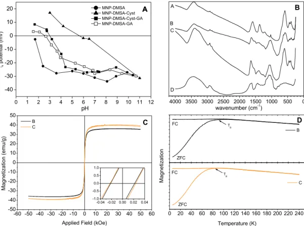 Figure 2.4. Surface and magnetic properties of the particles coated with gum Arabic. (A) Evolution of the  zeta potential with pH (B) FITR spectra; (C) Magnetization loops at T=250K; (D) ZFC/FC curves