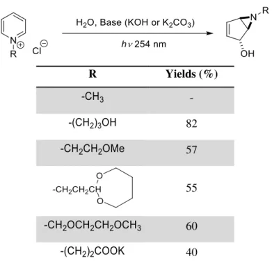 Table 1.3: Pyridinium salts photochemical reaction  8 14b . 