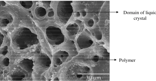 Figure  1.10  –  SEM  micrograph  for  the  microstructure  of  the  polymer  matrix  with  a  swiss  cheese  morphology type