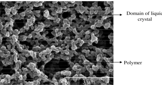 Figure  1.12  –  SEM  micrograph  for  the  microstructure  of  the  polymer  matrix  with  polymer  ball  morphology type
