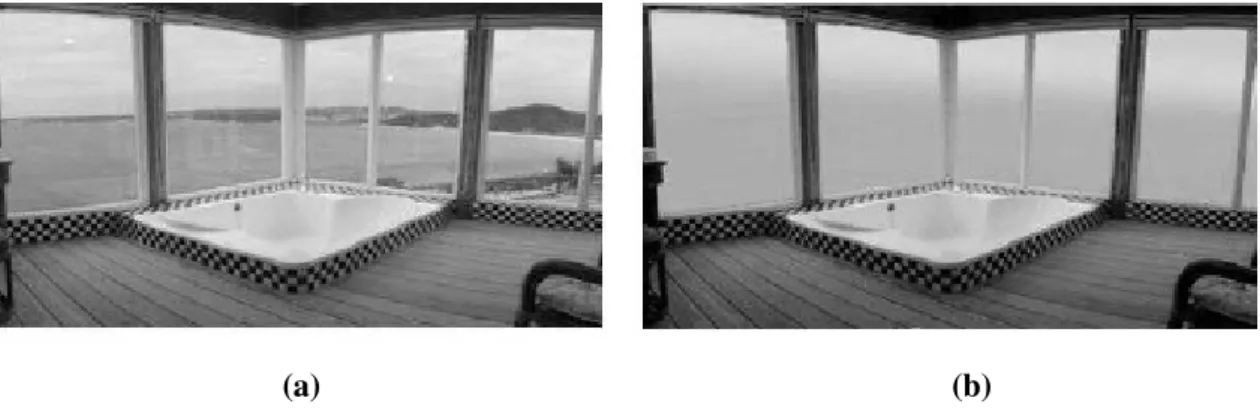 Figure 1.18 – Example of application of PDLC in switchable windows in ON (a) and OFF (b) state