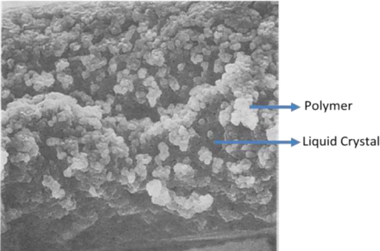 Figure 1.11 – SEM image of the “Polymer Ball” morphology (adapted from (Justice, 2006)) 