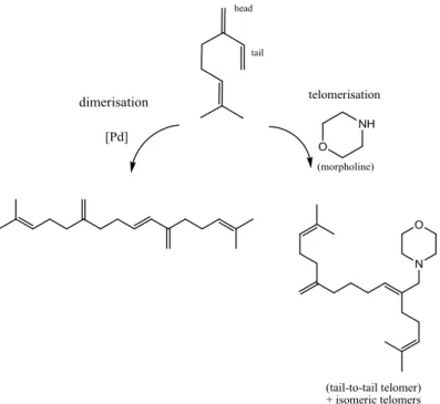 Figure 1.11 -  Dimerisation and telomerisation of β -myrcene with morpholine 29