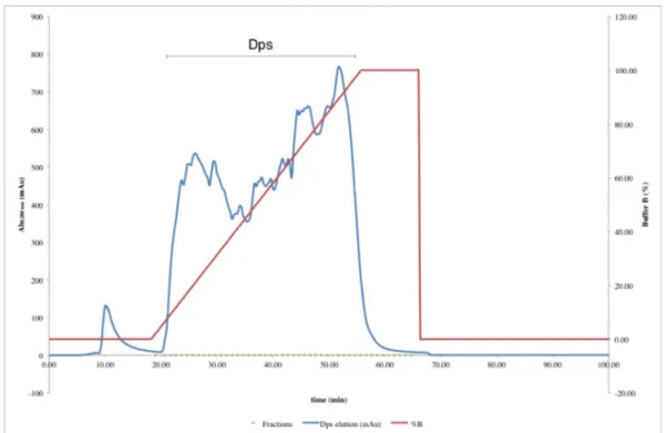 Figure  3.4  –  Elution  profile  of  Q  Resource  chromatographic  column  used  in  Dps  purification