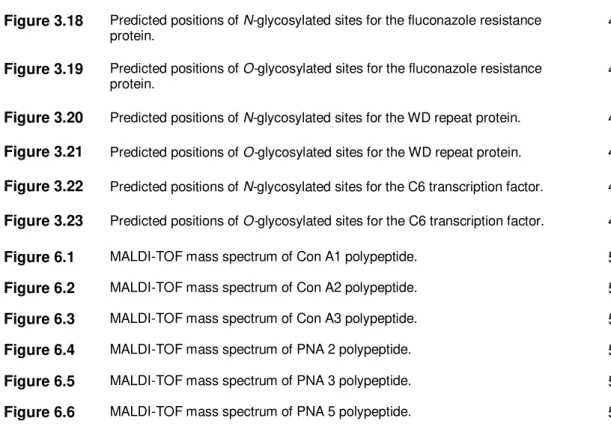 Figure 3.18  Predicted positions of N-glycosylated sites for the fluconazole resistance  protein
