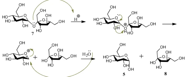 Figura 1.15 – Mecanismo de hidrólise da ligação glicosídica na sacarose, dando origem a uma  mistura de α-D-glucopiranose e β-D-frutofuranose (David, 1997)