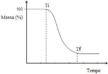 Figura 3.4- Curva de decomposição térmica [61]. 