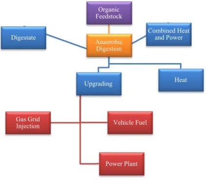 Figure 2. 1. Biogas Lifecycle [1] 
