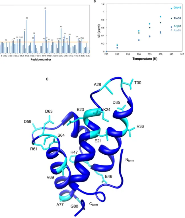 Figure 7: A) Im7 backbone amide chemical shift variations between 283K and 313K; B ) Evolution of Δδ  with temperature for the most affected residues; C) Structure of Im7 (PDB: 1AYI), which highlights the  most affected residues