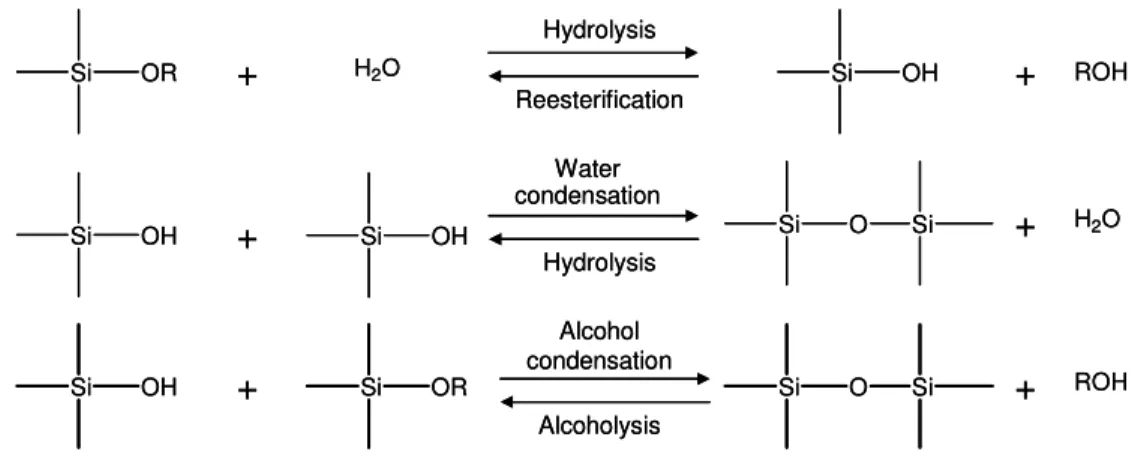 Figure 3.1 - Sol-gel formation reactions from silica based alkoxide precursors. 