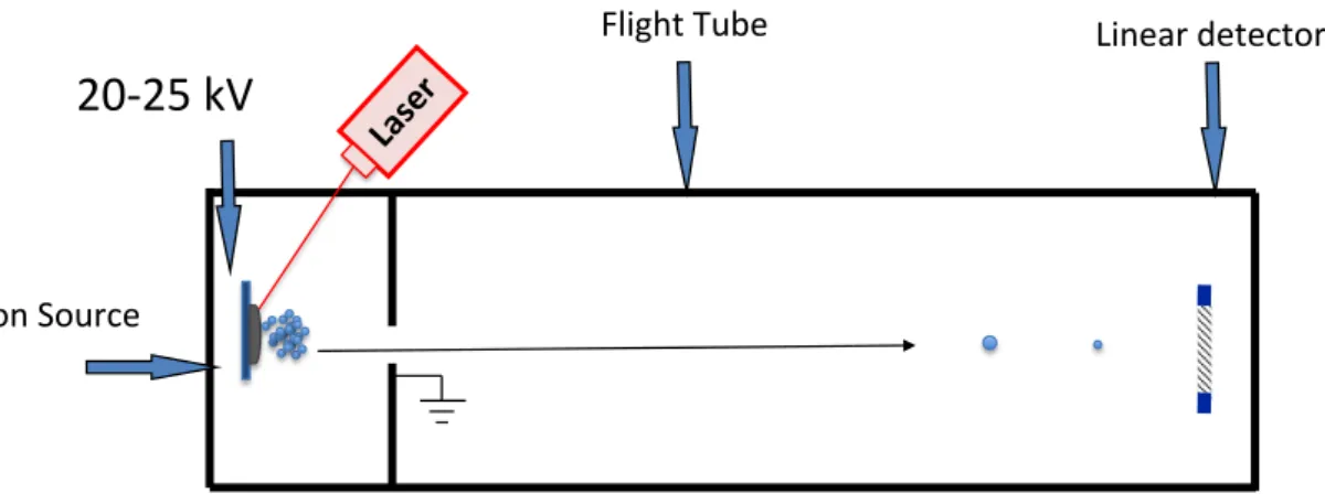 Figure  I.2  shows  a  typical  linear  TOF  mass  spectrometer.  In  this  type  of  instruments  all  charged  ions  are  first  accelerated  by  a  potential  difference,  between  the  sample  support  and  a  nearby  grid