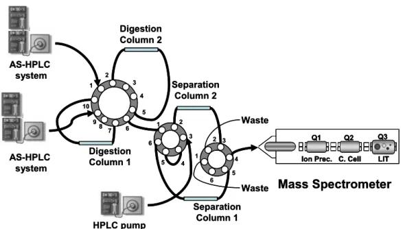 Figure I.8 An on-line protein digestion system. comprising three HPLC pumps (two gradient and  one isocratic), three switching valves, and four columns (two used for protein digestion and two  other for peptide separation)