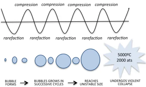 Figure I.10 Development and collapse of cavitation bubbles. (from Mason et al. [61]) 