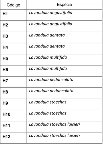 Tabela 4. 1 Plantas depositadas em herbário do INIAV 