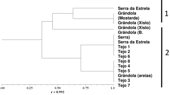 Figura 5. 2 Dendrograma das plantas colhidas, baseado no método UPGMA e utilizando o coeficiente de DICE