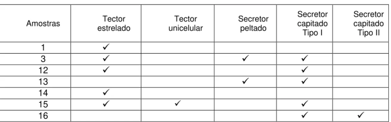 Tabela 5.1 Tipo de Tricomas observados ao microscópio 