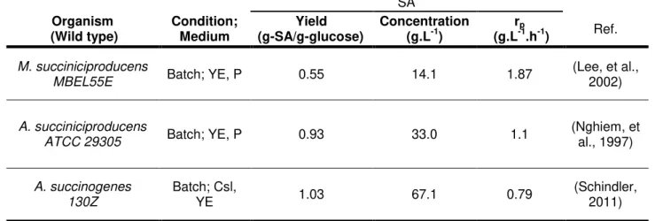 Figure 1.2  –  A. succinogenes grown on glucose medium (6 g.L -1 ). Magnification: 1000x