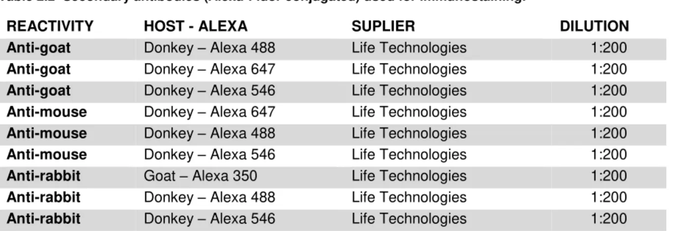 Table 2.22Secondary antibodies (Alexa-Fluor conjugated) used for immunostaining.  