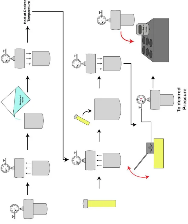 Figure 2.3: Process of incubation of a pressure vial using reactors