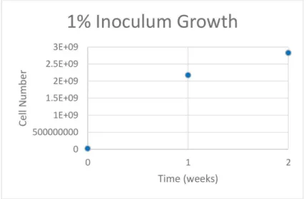 Figure 3.1: Impact of the 1% Inoculum in cell growth
