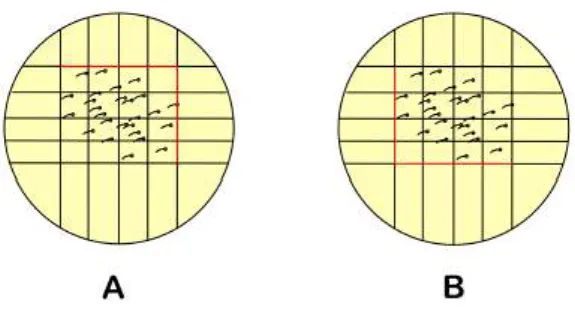 Figure 3.6: Two methods to count the existing cell in the sample