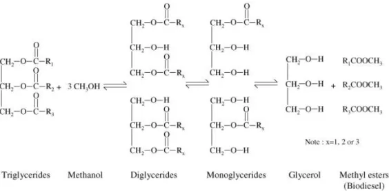 Figure  1.15  –   Transesterification  reaction  with  methanol  as  alcohol.  The  three  steps  of  the  reaction  are represented