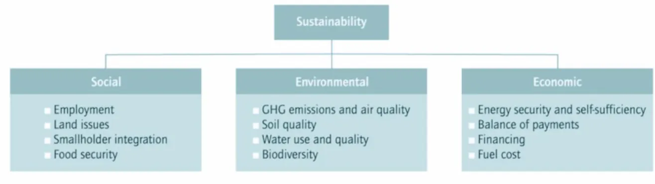 Figure 1.21 - Environmental, social and economic aspects of biofuel and bioenergy production