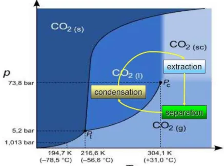 Figure 1.29  –  Supercritical fluid diagram of carbon dioxide. (88)