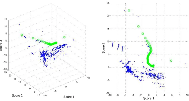Figure 3.16: Score plot of PCA scores from the FVA data. A: 3D score plot. B: 2D score plot