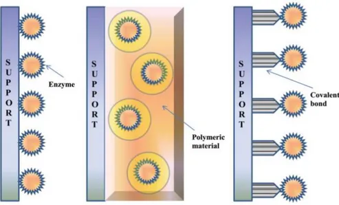 Figure  1.7  Schematics  of  the  three  most  common  enzyme  immobilization  techniques: (A) physical adsorption, (B) entrapment and (C) covalent attachment /  cross-linking (content taken from reference 25)