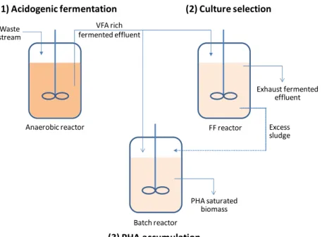 Figure 1.5  –  Three-step PHA production process with MMCs using waste streams as feedstock (adapted  from Albuquerque et al