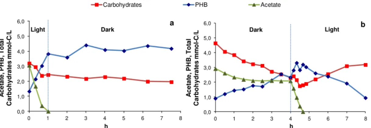 Figure 2.3  –  Batch tests in: a) Light-Argon conditions in the feast followed by Dark-Argon in the famine; 