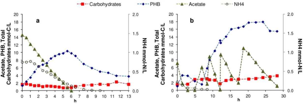 Figure 2.4 – PHB accumulation batch tests in Light-Argon conditions: a) addition of a concentrated single  pulse of acetate; b) addition of multiple pulses of acetate