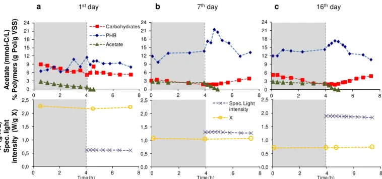 Figure 3.1  – Evolution of the cultures’ behavior during the adaptation p eriod to dark/light periods in an 8h  cycle  SBR  when  subjected  to  feeding  in  the  dark  phase  (grey  area)  and  famine  during  the  light  phase  (white area)