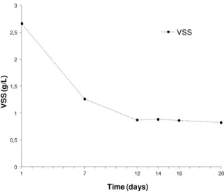 Figure 3.2  –  PMC biomass concentration (VSS) evolution during the adaptation period to dark/light  periods 