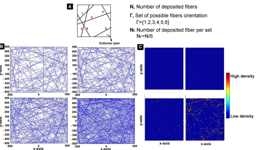 Figure 2.7 Arbitrary fiber deposition in the collector’s center. A, The random fiber model was developed in Matlab R2011b, generating six sets of possible fibers (Total  number of fibers, N=400)